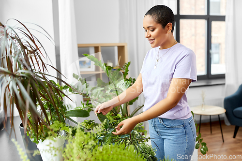 Image of african american woman taking care of houseplants