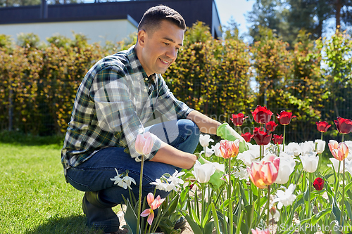 Image of middle-aged man taking care of flowers at garden