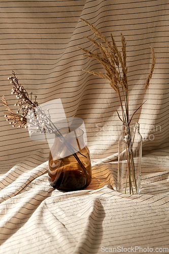 Image of decorative dried flowers in vases and bottles