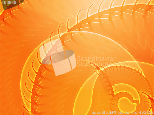 Image of Swirling spiral fronds abstract