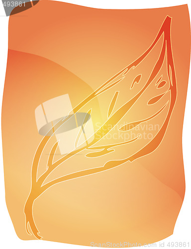 Image of Leaf illustration