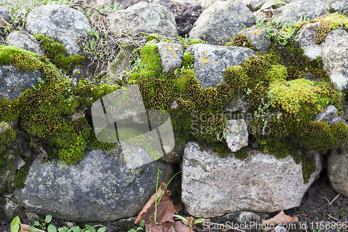 Image of part and details wall