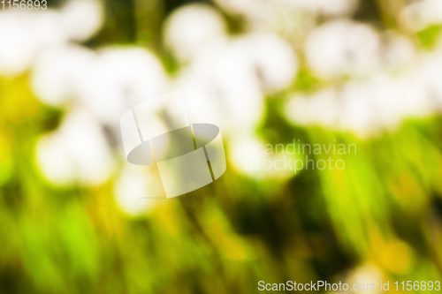 Image of abstract background