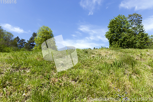 Image of summer landscape