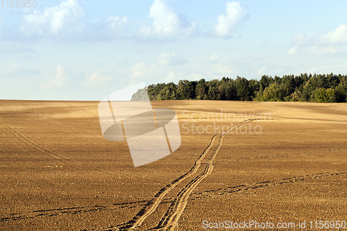 Image of plowed field