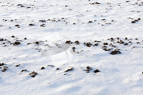 Image of Snow drifts in winter