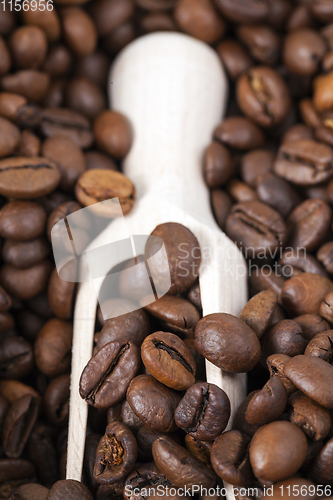Image of coffee beans, close-up