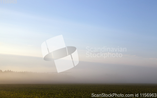 Image of agricultural field