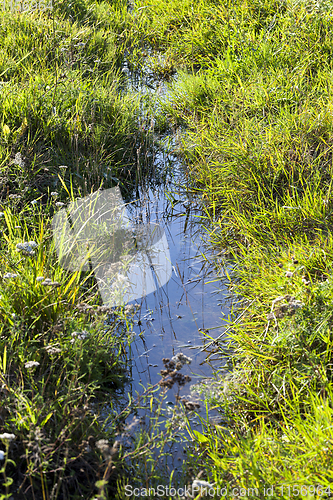 Image of small narrow creek