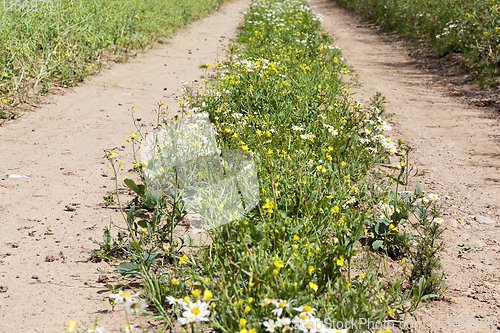 Image of rural road