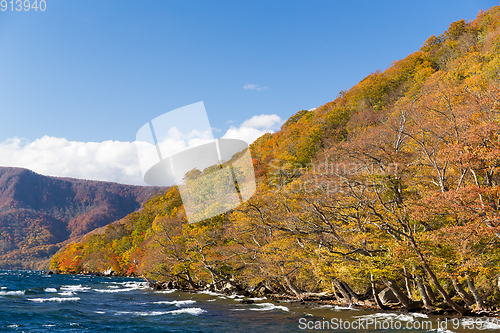 Image of Lake Towada