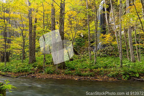Image of Oirase Gorge Stream in Autumn