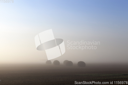 Image of stacks of straw
