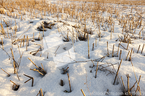 Image of field covered with snow