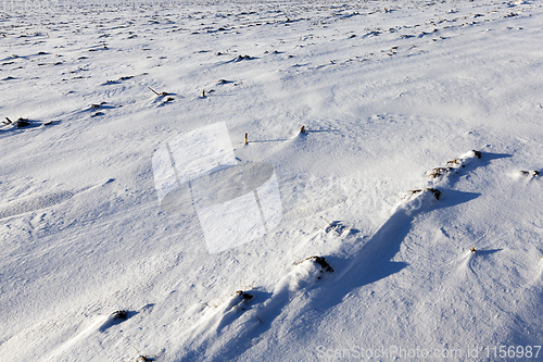 Image of surface of the snow