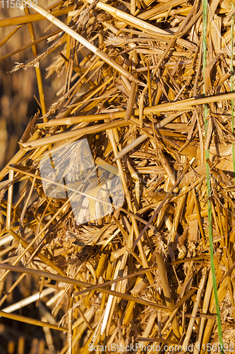 Image of straw after harvest