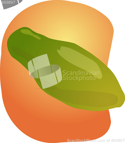 Image of Papaya fruit illustration