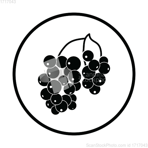 Image of Icon of Black currant