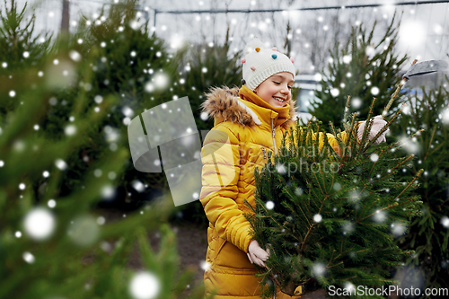 Image of little girl choosing christmas tree at market