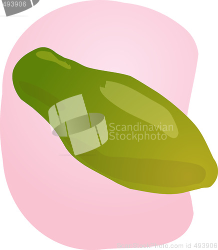 Image of Papaya fruit illustration