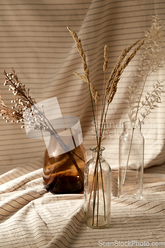 Image of decorative dried flowers in vases and bottles