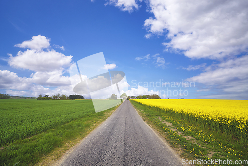 Image of Asphalt road in a rural landscape