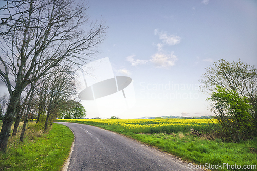 Image of Asphalt road in a countryside landscape