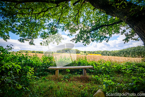 Image of Rural landscape with a wooden bench