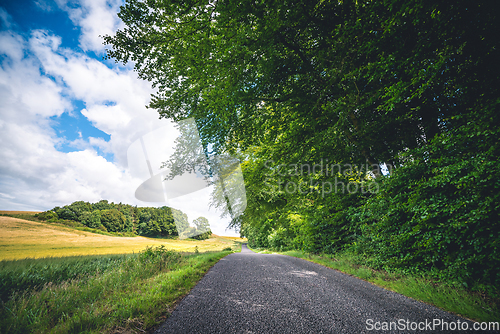 Image of Asphalt road in a rural environment