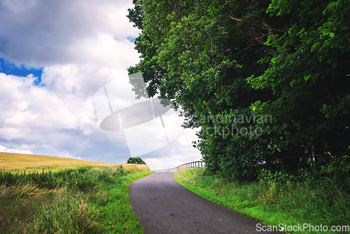 Image of Curvy countryside road surrounded by fields