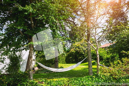 Image of White hammock in a green garden