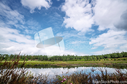 Image of Forest lake under a blue sky in the summer