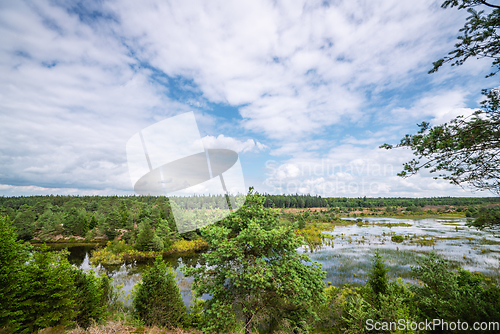 Image of Landscape scenery in the wetlands