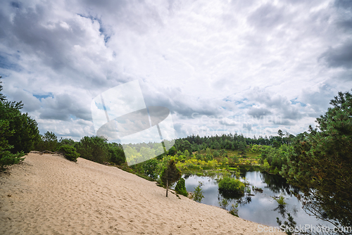 Image of Beach by a forest lake with nature wilderness