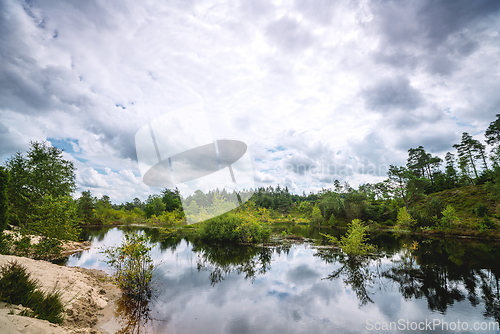 Image of Forest lake scenery with a sand beach