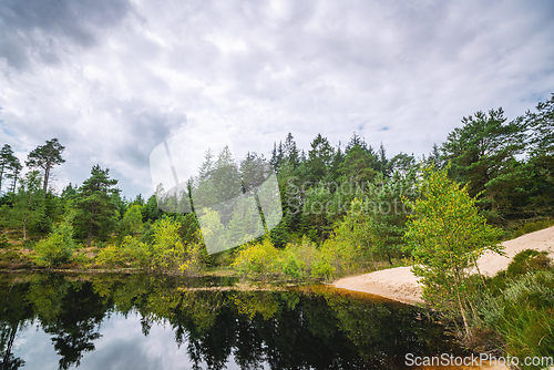 Image of Sand beach by an idyllic forest lake