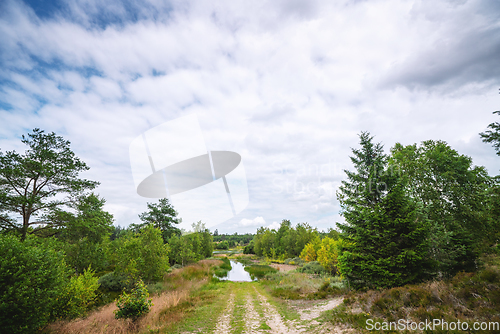 Image of Flooded dirt road in wild nature