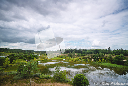 Image of Wetlands in wild Scandinavian nature