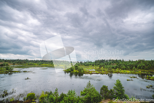 Image of Wetland with small lakes and green wilderness