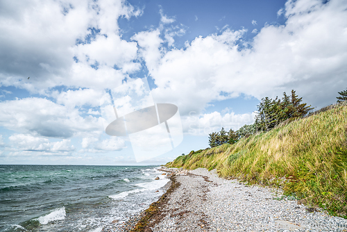 Image of Nordic coast with greean grass