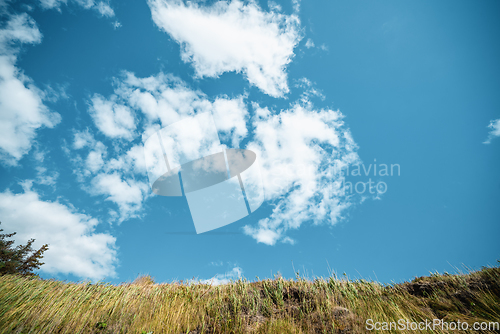 Image of Blue sky over a plain with dry grass in the summer