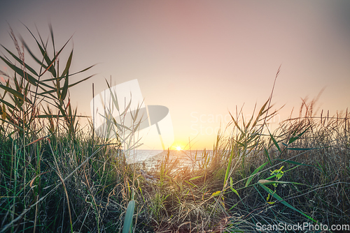 Image of Morning sunrise by the sea with green grass