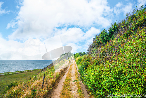 Image of Nature trail on a cliff by the blue sea