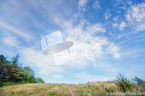 Image of Grass landscape with a small trail