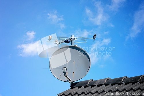 Image of Birds on a satellite dish on a rooftop