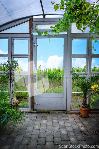 Image of Wooden door to a vindeyard landscape