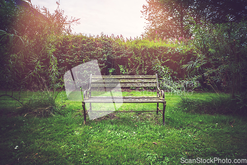 Image of Old wooden bench in a park on a green lawn