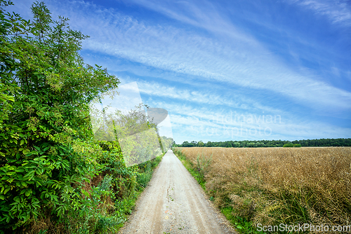 Image of Countryside trail with green bush and fields