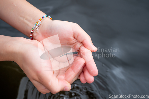 Image of Catching a small fish by hand in a dark river