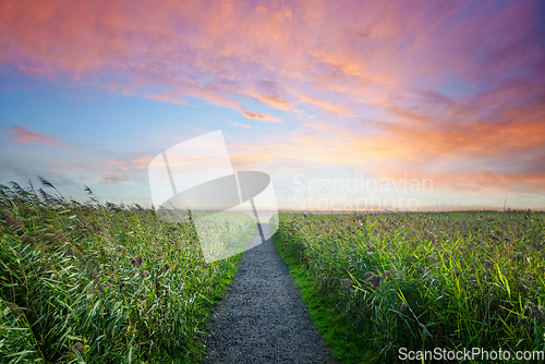 Image of Trail to the beach in a colourful sunset